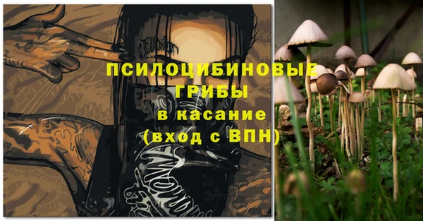 твердый Вязники