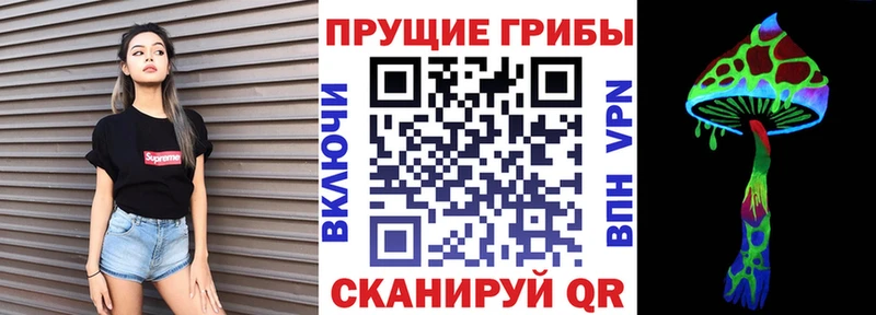 блэк спрут   Ефремов  Псилоцибиновые грибы Cubensis 